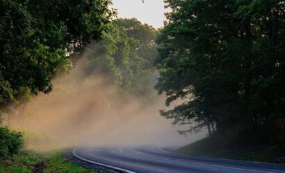 humid-foggy-road-in-the-forest-in-blue-ridge-parkway-virginia